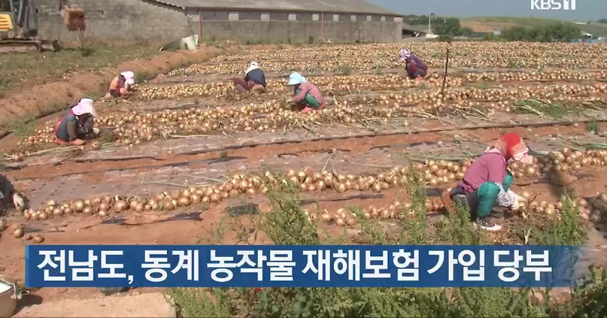 전남도, 동계 농작물 재해보험 가입 당부
