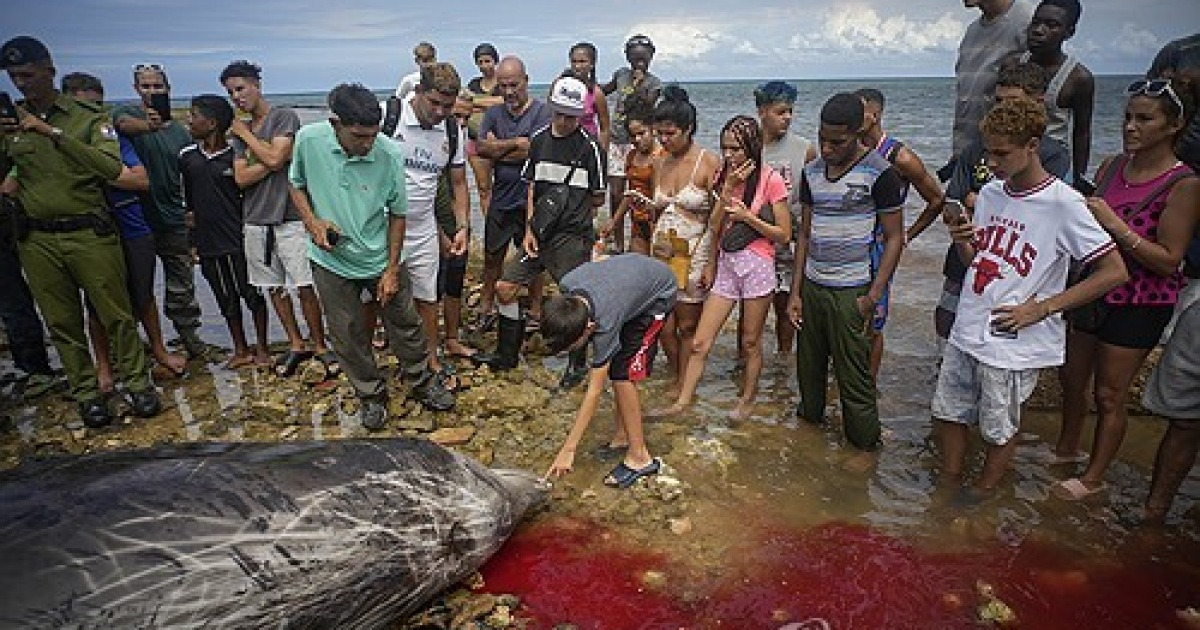 pictures-of-the-week-latin-america-and-caribbean-photo-gallery