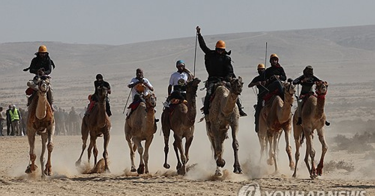 MIDEAST ISRAEL PHOTO SET CAMEL RACING