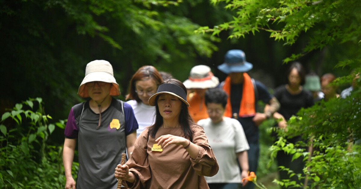 햇살과 나뭇잎 느끼며 “느리게 걷고 감사하며 숨 쉬다” [건강한겨레]