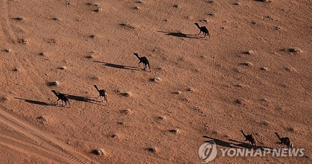 Dakar Rally Photo Gallery
