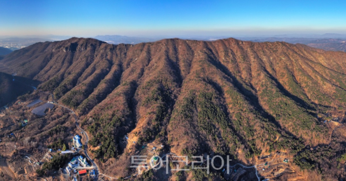 다산‧재물‧치유 기원해볼까!...을사년 뱀의해 가볼만한 경북 뱀 명소 6선
