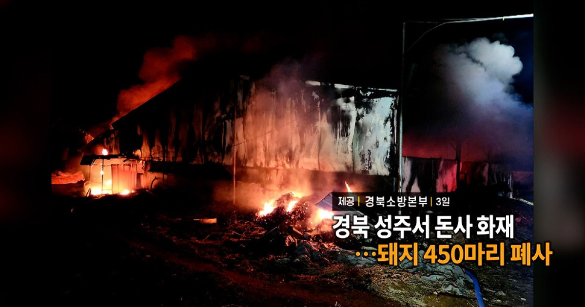[영상구성] 경북 성주서 돈사 화재…돼지 450마리 폐사