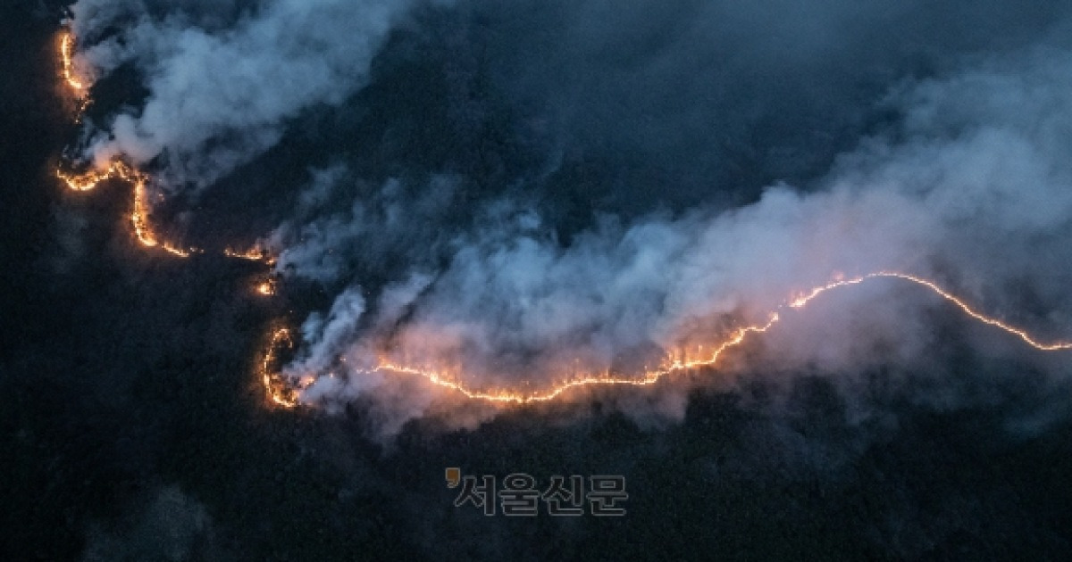 “사방에 도깨비불… 그 뒤엔 불길 휘몰아쳐”
