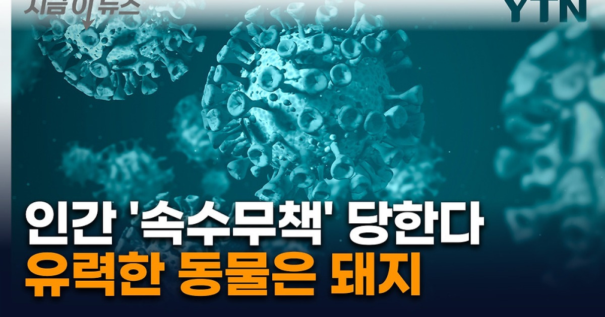 まったく新しいですか？ [지금이뉴스]