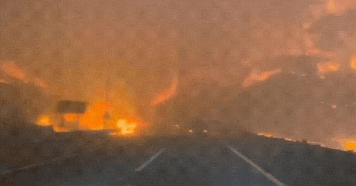 Forest Fire in Gyeongbuk: Netizens Astonished - News Directory 3