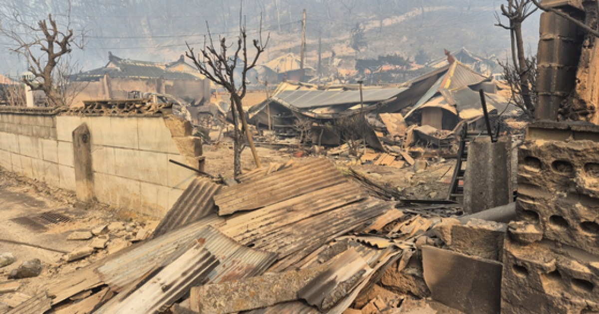 Surviving a Fire Whirlwind: Miraculous 50-Minute Standstill - News Directory 3