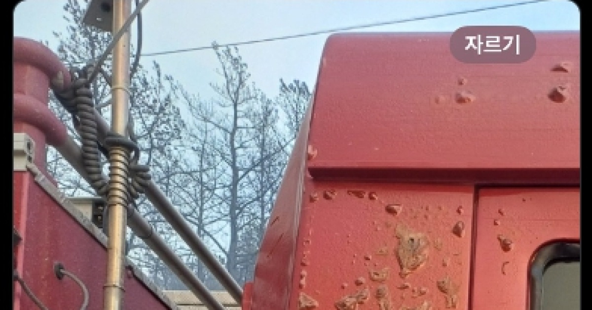 Baked Fire Truck Firefighter 'Food - News Directory 3