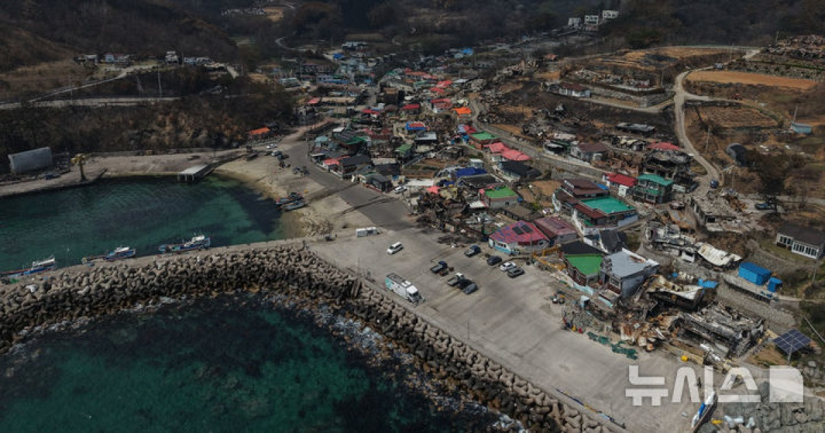 산불이 휩쓸고 간 경북 영덕 노물리