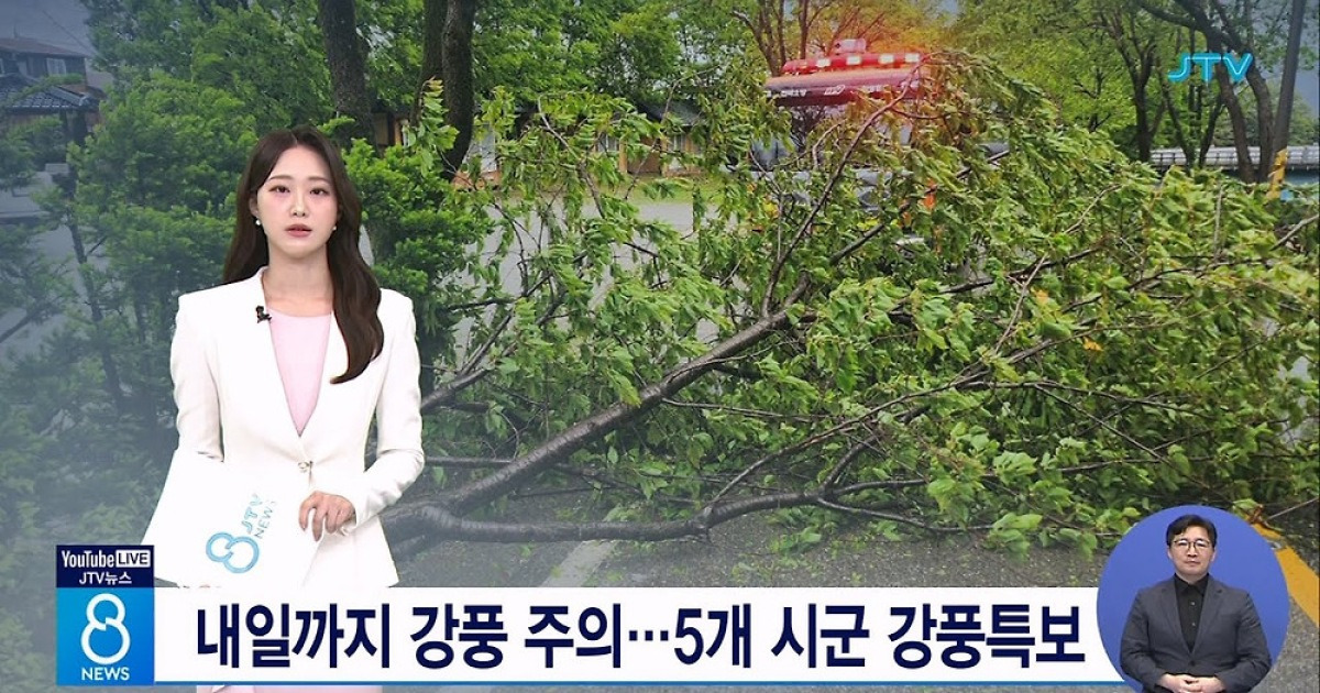 내일까지 강풍 주의...5개 시군 강풍특보