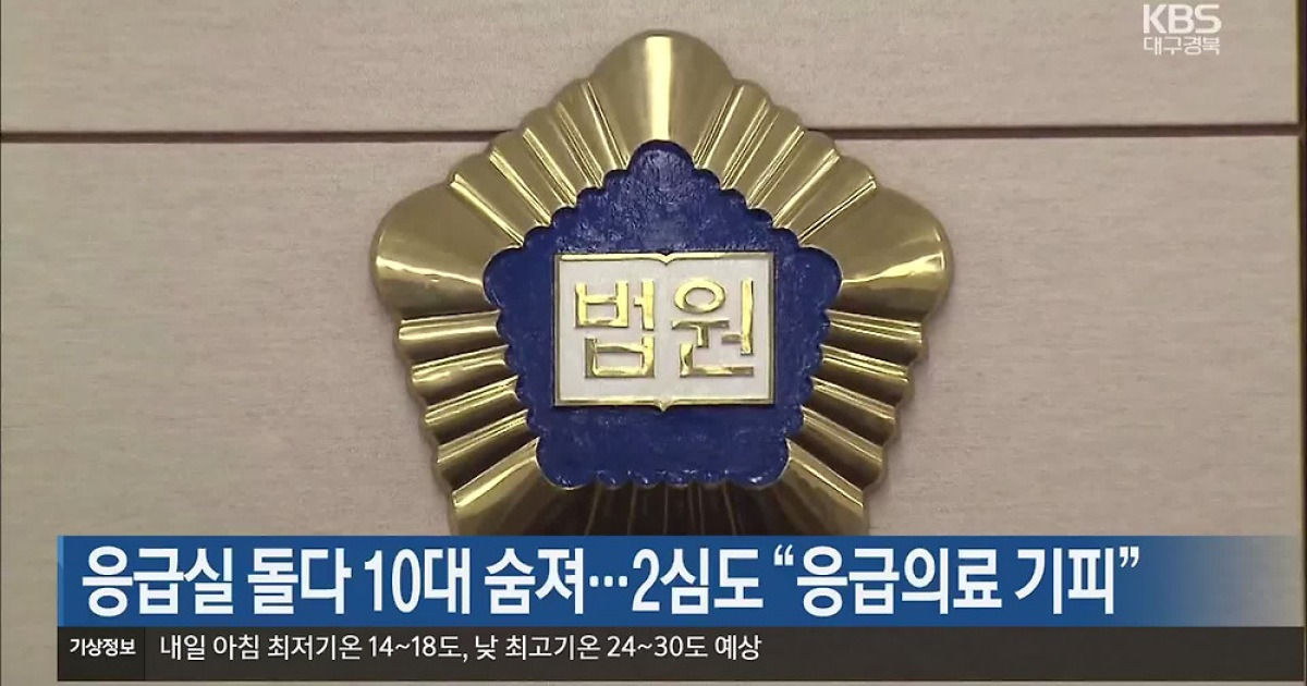 응급실 돌다 10대 숨져…2심도 “응급의료 기피”