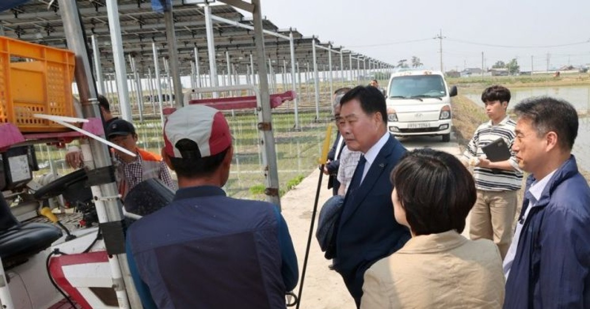 김산 무안군수, 영광 영농형 태양광발전단지 방문