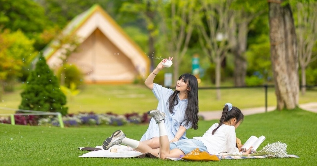 済州大学季節学期、Yangyang Surfing、Suncheon Bay Garden Super…生計人口の増加