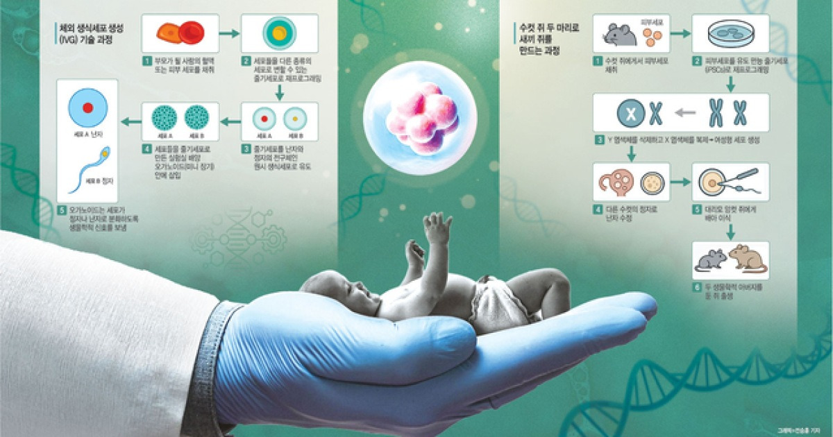 “무정자증·폐경·동성커플, 피부로 정자·난자 만들어 출산 가능”[Science]