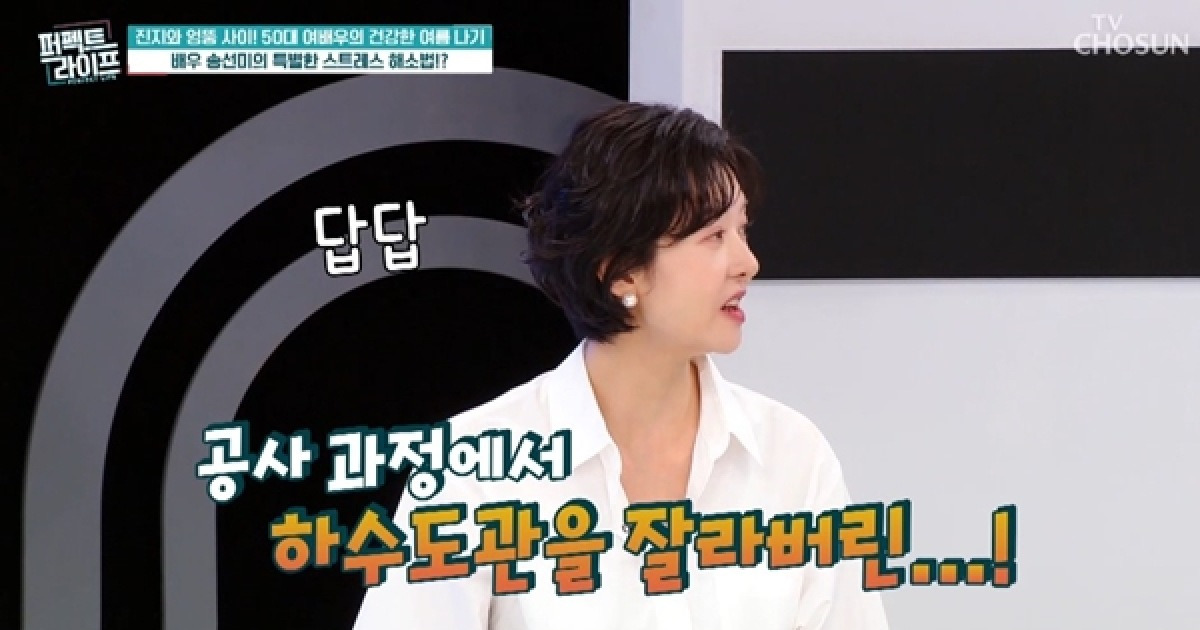 송선미 하수도관 스트레스