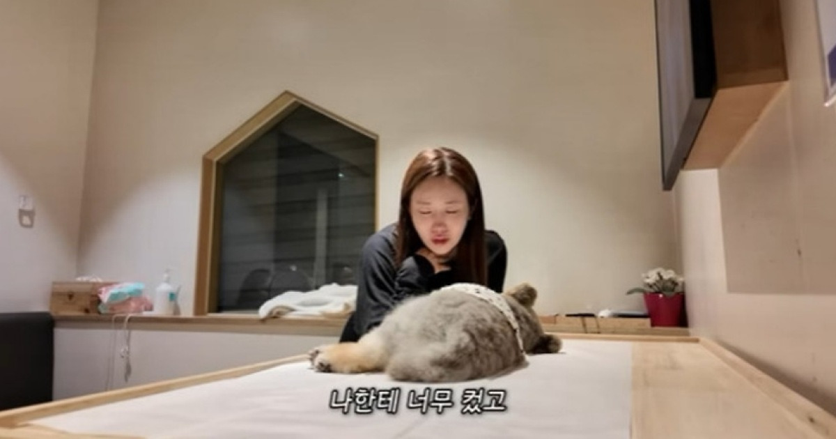 アイダハエ♥セブン、犬の葬儀での犬の葬儀..「大学動物病院の処置の原因」