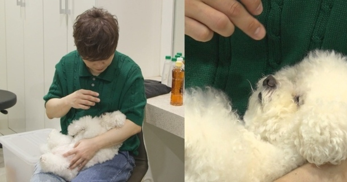 마술사 최현우 전참시 예고