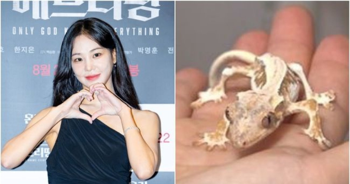 "도마뱀 특성vs동물학대" 한지은, 반려 도마뱀 ‘동물학대’ 갑론을박 [Oh!쎈 이슈]