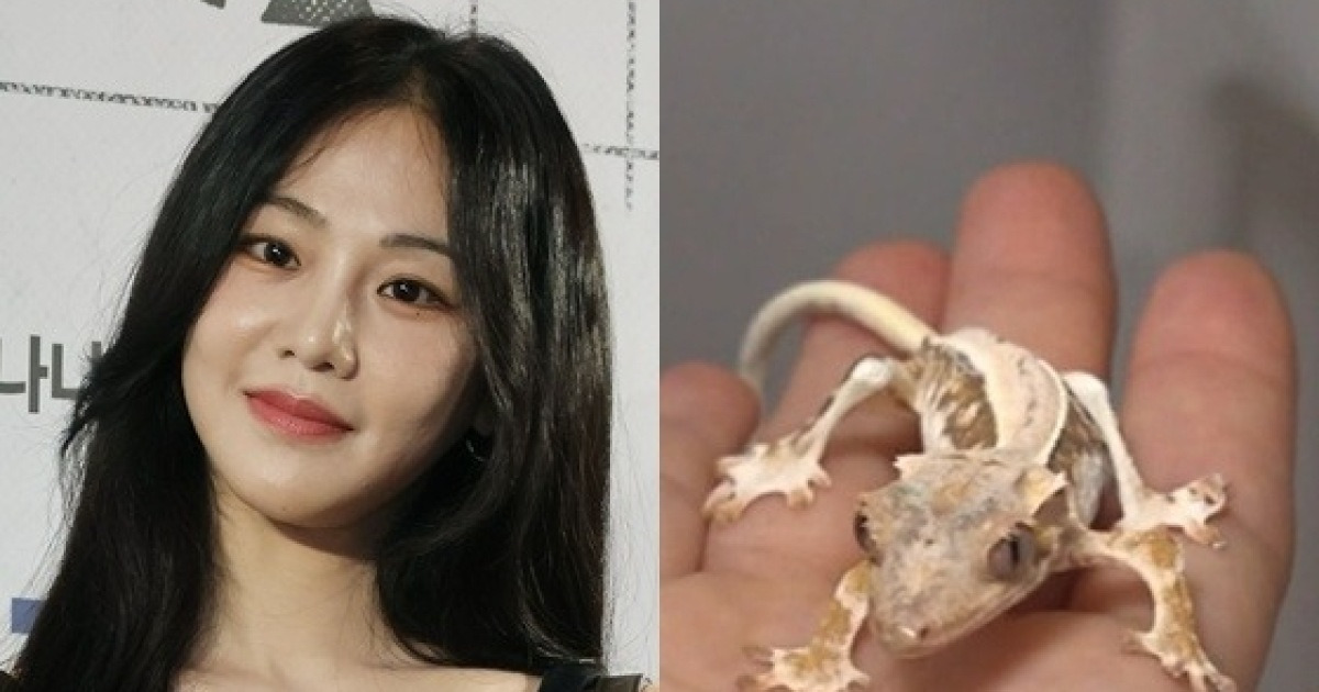 한지은, '반려 도마뱀 학대 의혹' 해명 "건강 문제 無..세심하게 신경쓸 것"[전문]