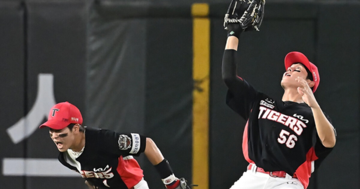 내야수는 알까기, 외야수는 만세 수비, 결정적 펌블까지...KIA 젊은 선수 기용, 비싼 수업료인가 [오!쎈 광주]