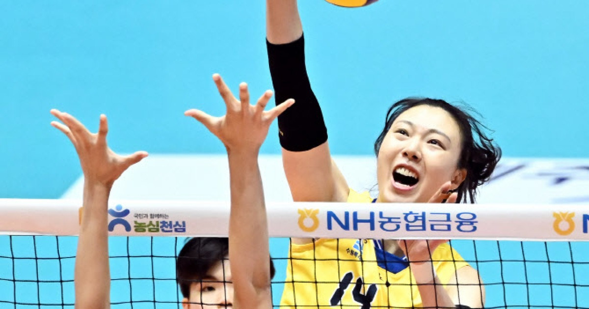 현대건설 양효진, 왼쪽 무릎 염좌 소견...V리그 개막전 출전 불투명