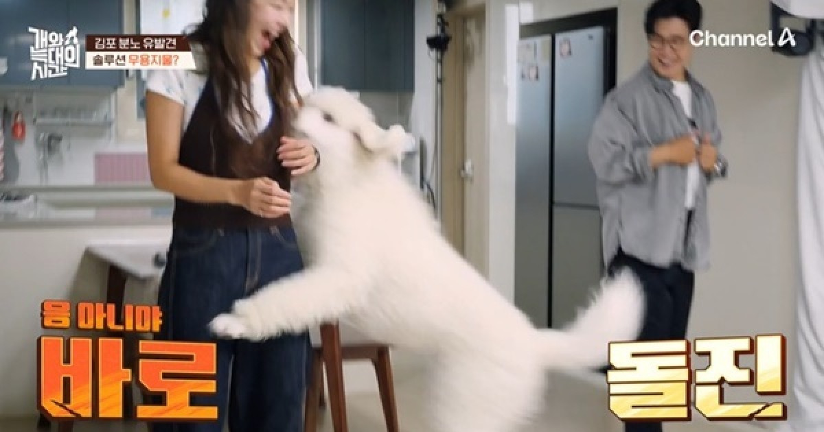 “옷 찢어져” 송해나, 대형견 돌진에 패닉 “이렇게 셀 줄 몰랐다” (개늑시)[결정적장면]