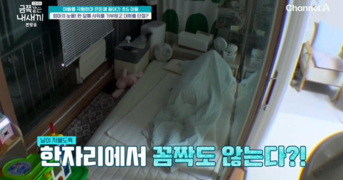 초6 금쪽, 베란다에서 은둔 생활..한 달째 등교+씻기 거부 ‘충격’ (‘금쪽같은’)
