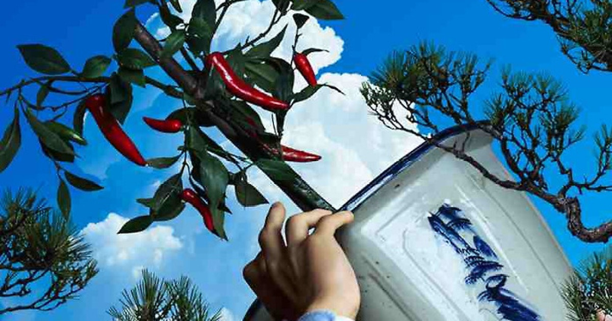 '어쩔수가없다' 200만 관객 돌파…'헤어질 결심' 최종 기록 깼다