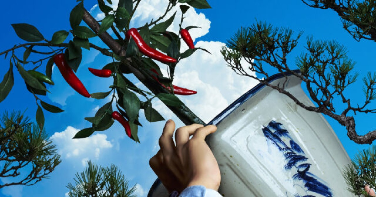 '어쩔수가없다' 200만 돌파…박찬욱 감독, 전작 '헤어질 결심' 넘었다 [MD오피스]