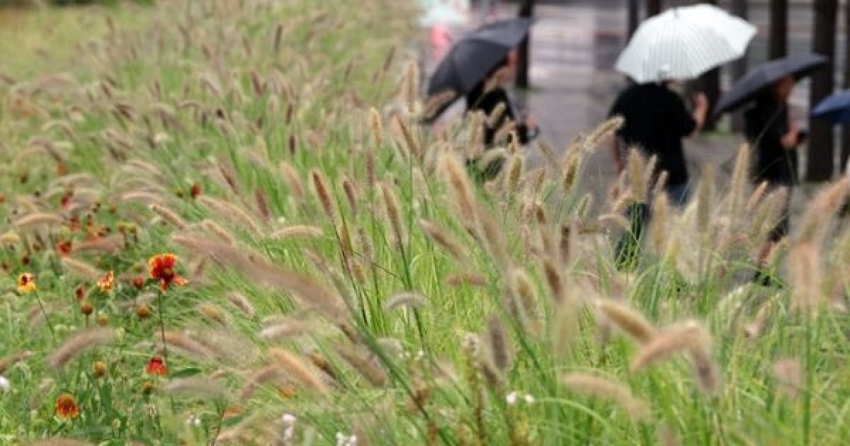 「時速20mm」再び雨・最大26度「涼しい」…風邪を防ぐための車は何ですか？ [오늘 날씨]