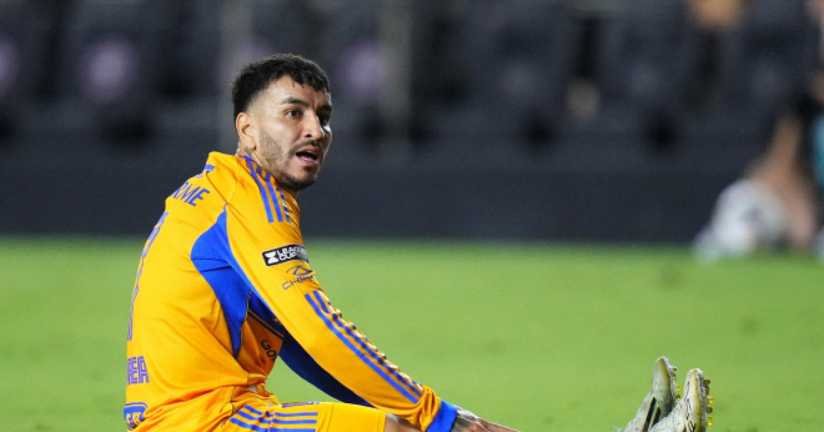 스페인 떠나 멕시코 향한 코레아, 집 근처 야생곰 출몰 딸과 아찔한 순간 맞이···‘그런데 이 장면을 촬영한 게 코레아의 아내였다’