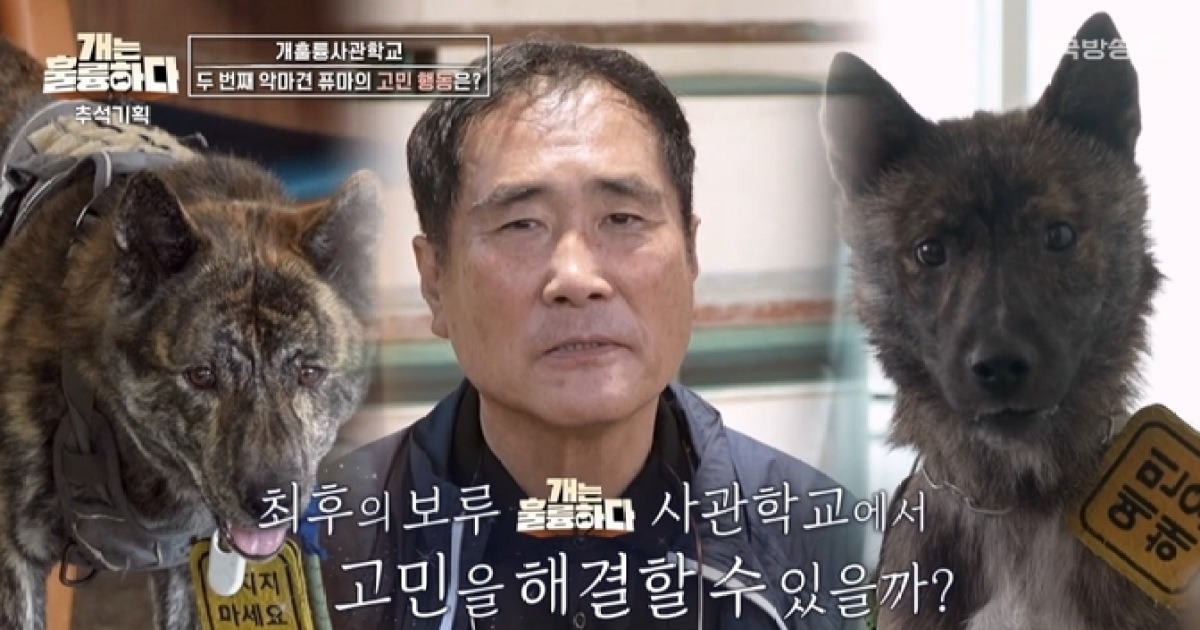 입질 사고 2번 낸 고민견 등장…이경규 “입학 안 받겠다” (‘개훌륭’)
