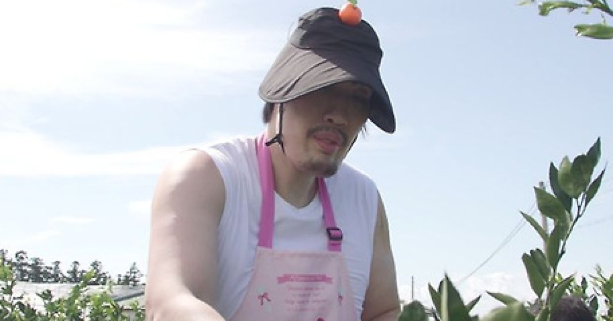 '217cm' 최홍만, 한달 식비만 '1000만원'…귤 농장 '일꾼' 변신한 근황