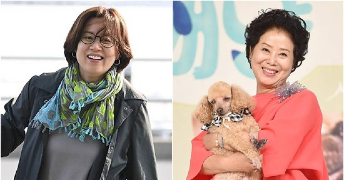 "엄마, 저 미선이에요"…선우용여, '암투병설' 박미선 목소리 듣자마자 '왈칵' [엑's 이슈]