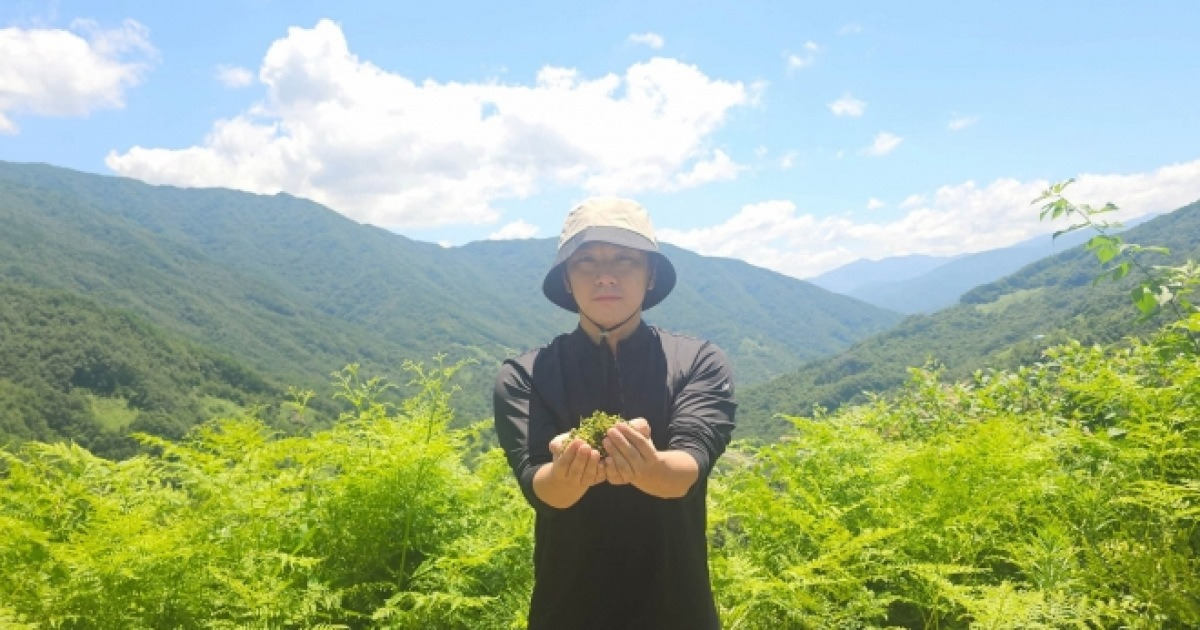 지리산 3대 청년, ‘임업 혁신’으로 연 1억 벌다