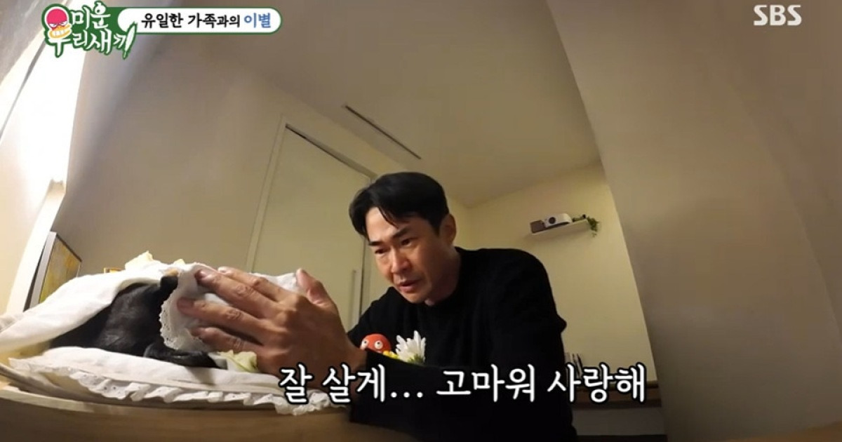 배정남, 가족이었던 반려견 벨 떠나보냈다…"많이 사랑해" 오열 [RE:TV]