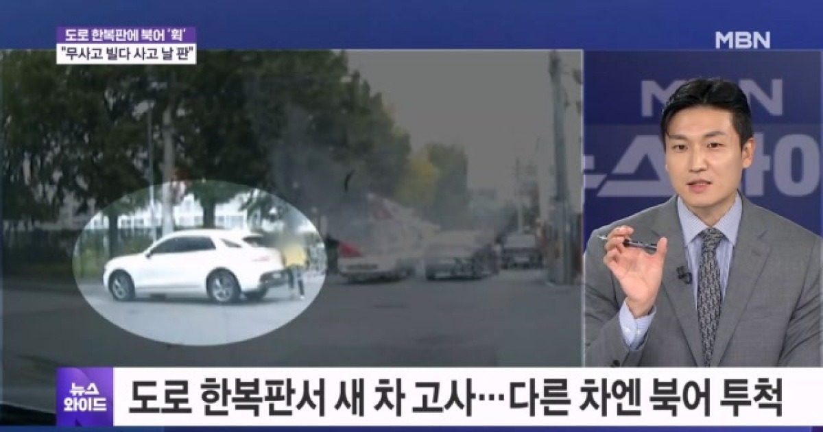 도로 정중앙에서 새 차 고사?…