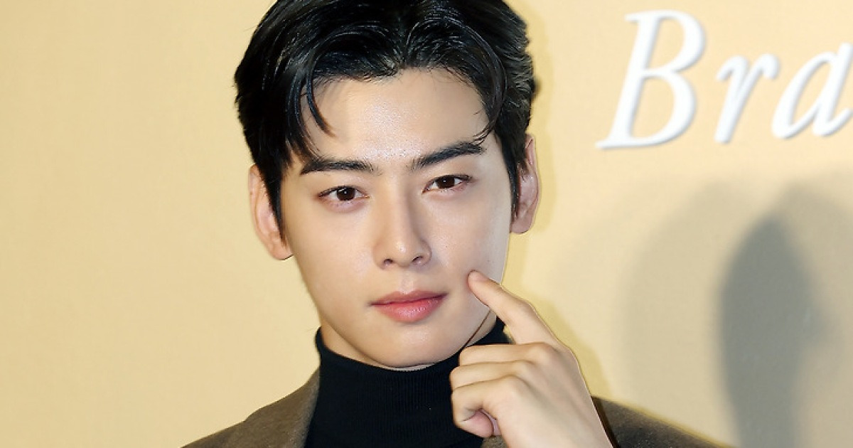 APEC서 포착된 '일병' 차은우, 군백기에도 '열일' [N이슈]