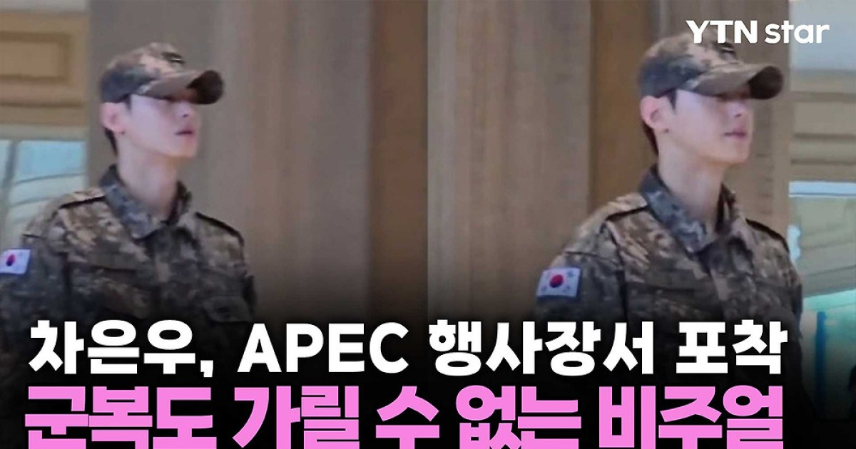 차은우, APEC 행사장서 포착…군복도 가릴 수 없는 비주얼