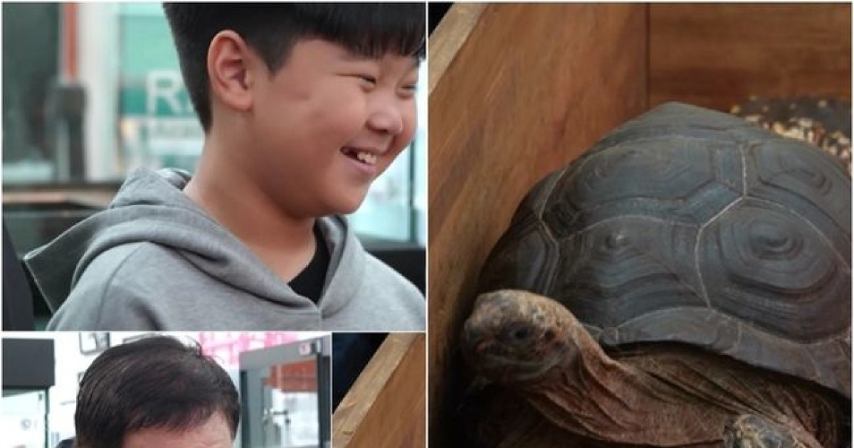 임채무 '두리랜드' 외손자 초4 심지원, '9억 원' 거북이 구입 욕망 ('사당귀')