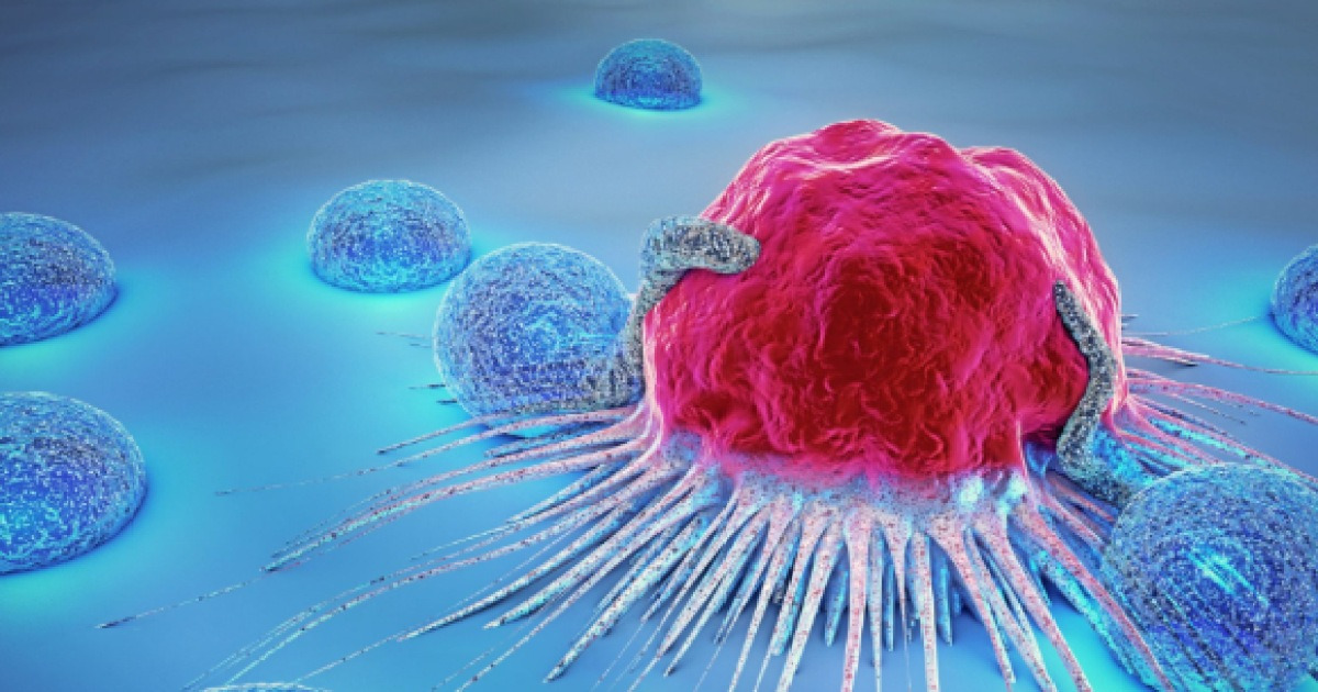 고소한 ‘이 음식‘, 깨서 먹었더니⋯염증 싹 사라지고 암세포까지 ‘사멸’