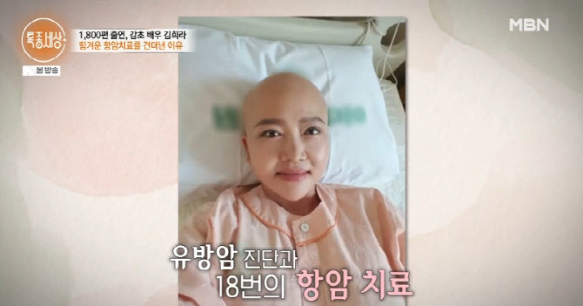 김희라, 유방암 2기 투병→한국 떠났다…"항암 치료 18번"