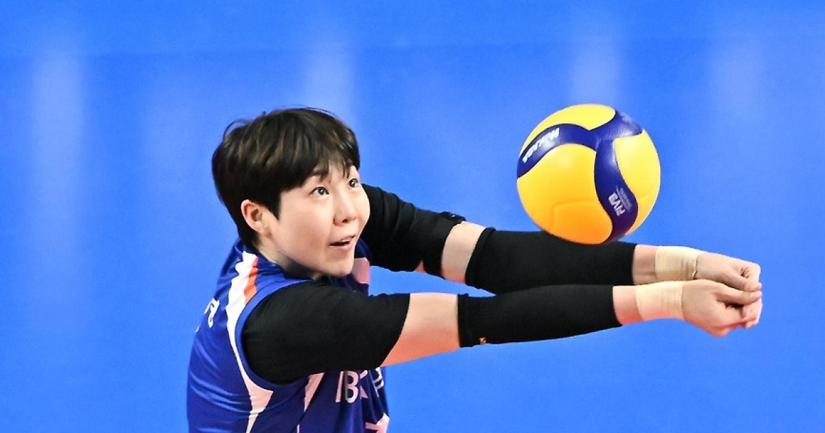 '어깨 부상' 이소영, 재활 대신 수술 결심…'시즌 아웃' 불가피