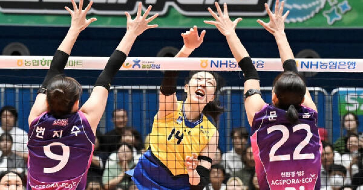 ‘리빙 레전드’ 양효진, V리그 사상 첫 8천득점 금자탑