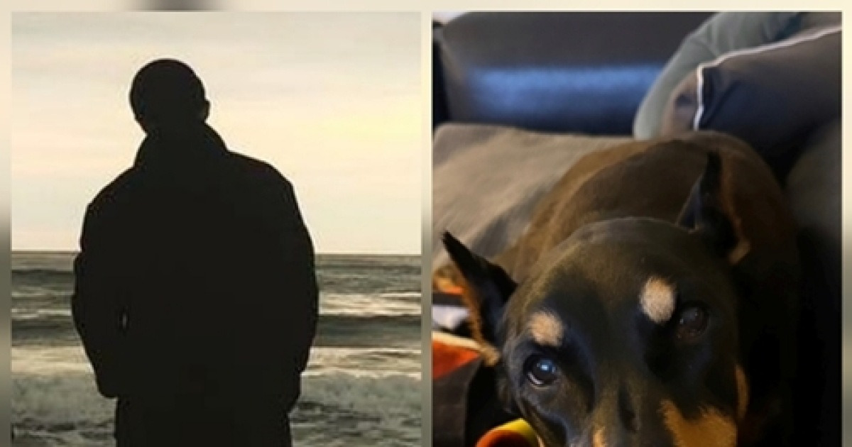 배정남, 펫로스 34점 ‘고위험군’… 떠난 벨 향한 그리움 멈추지 않았다