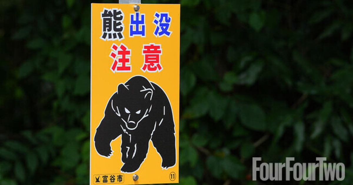 ‘충격’ 곰 습격받아 사망→훈련장 전격 폐쇄 결정했는데…’2주’ 만에 공개 훈련 재개→’순찰 결과 이상 없었어’