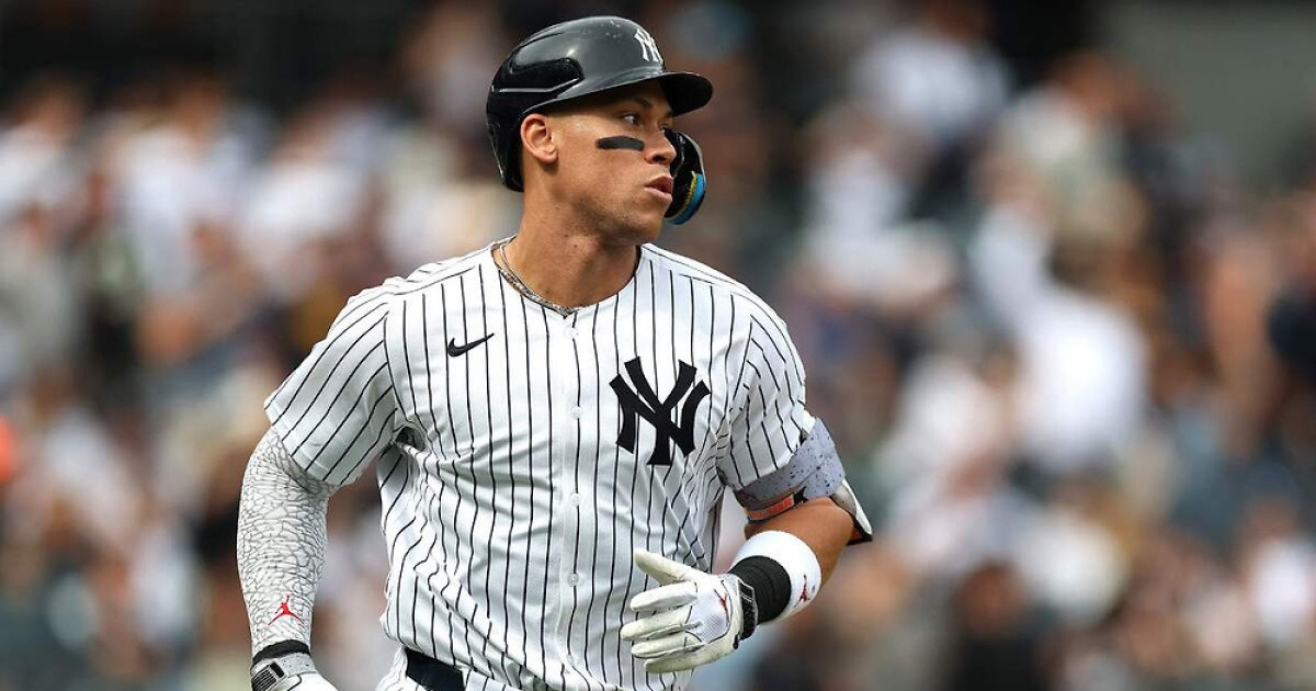 저지 2년 연속 MVP 보도