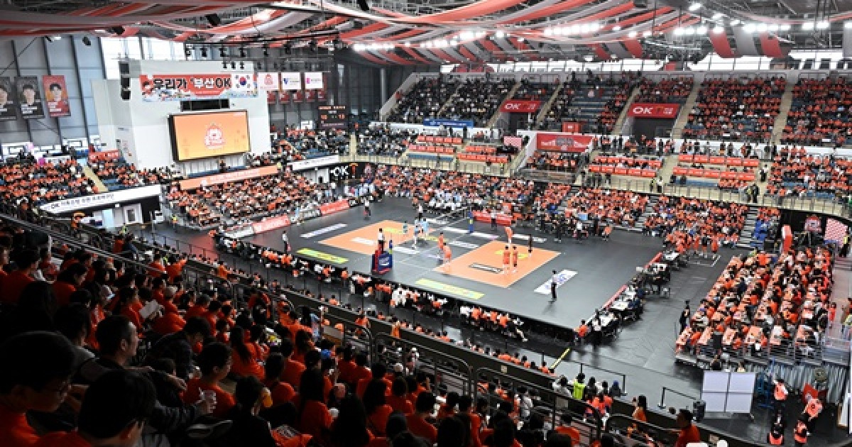 여자배구, 1라운드 시청률·관중 수 소폭 상승…남자부는 모두 하락