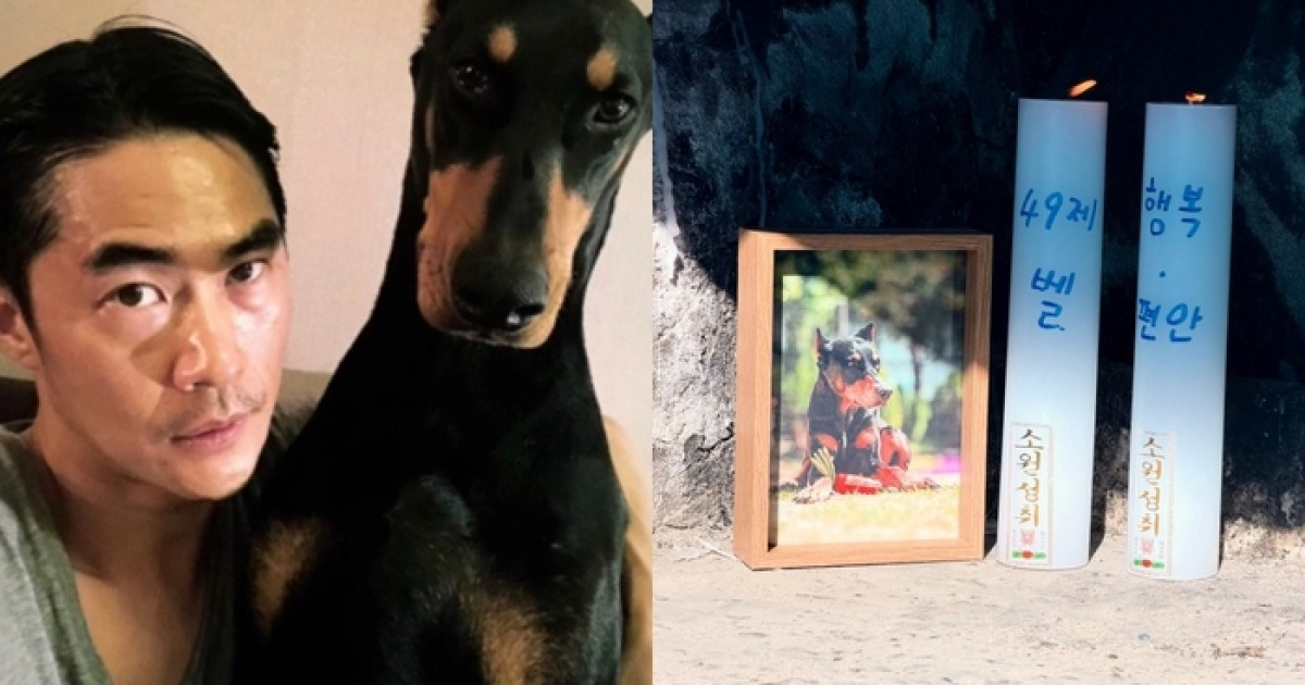 배정남, 반려견 벨 49제 지냈다…“우리 딸 편안하게 푹 쉬어”