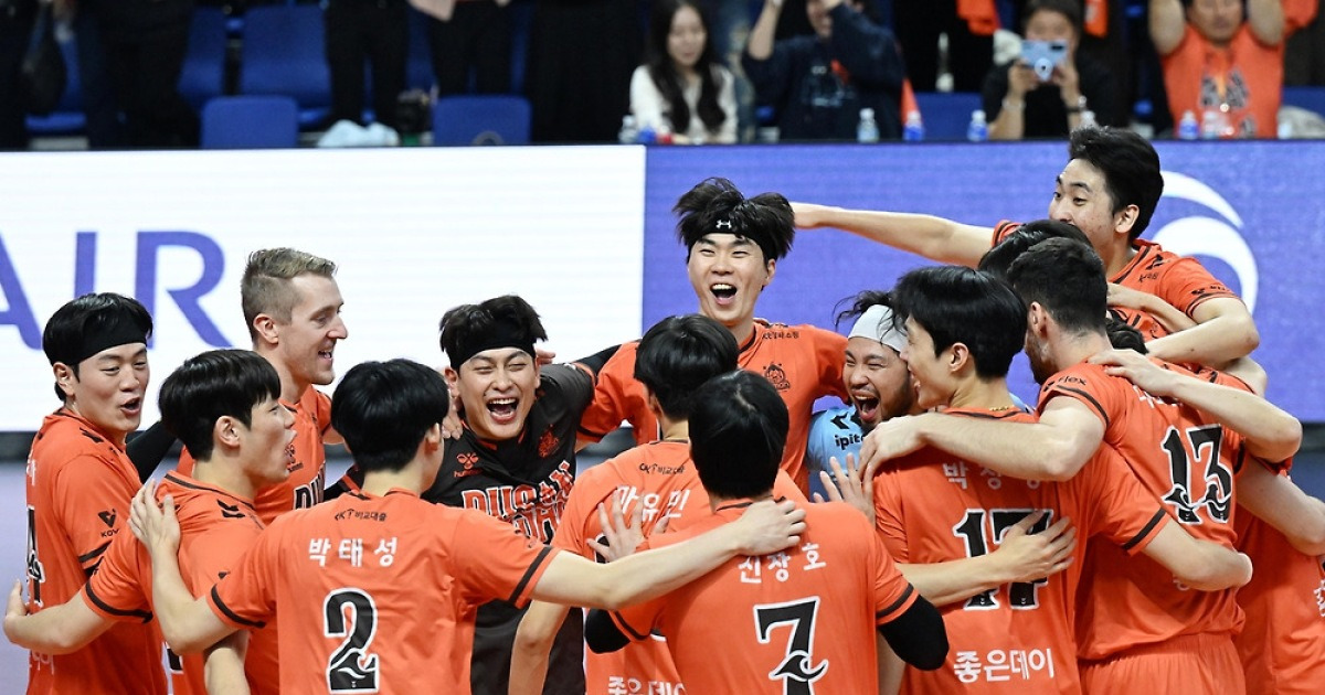 프로배구 OK·페퍼의 '꼴찌 반란'…판세 지각변동의 진원지